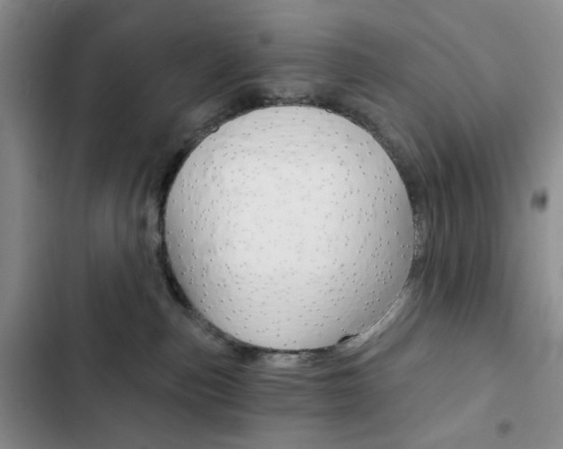X0000102820187200808181034