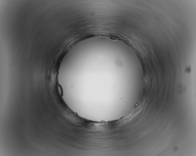 X0000102820188200808181034