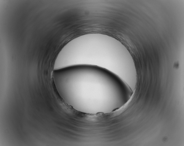 X0000102820190200808181034