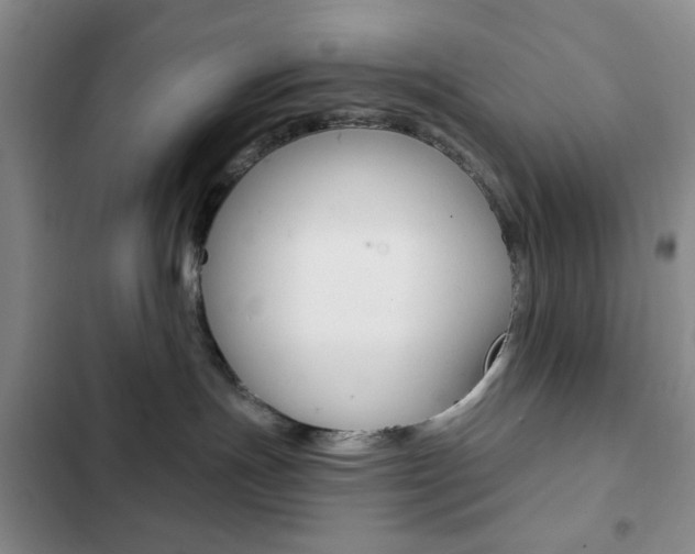 X0000102820191200808181034