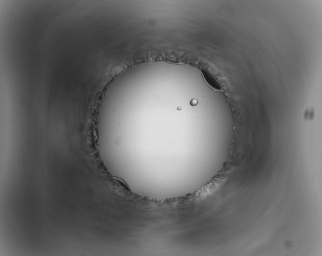 X0000102820192200808181034
