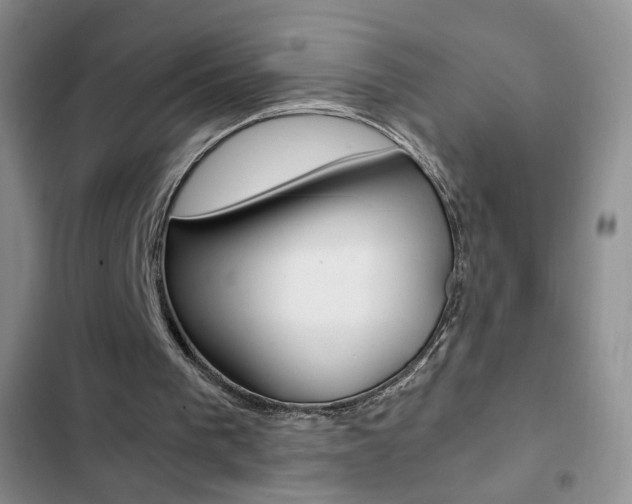 X0000102820193200808181033