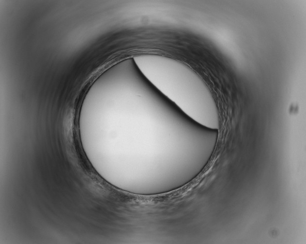 X0000102820194200808181033