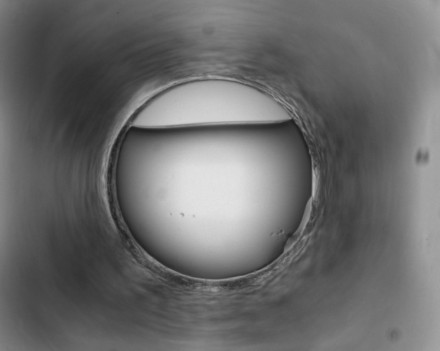 X0000102820195200808181033