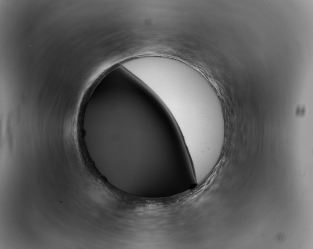 X0000102820196200808181033