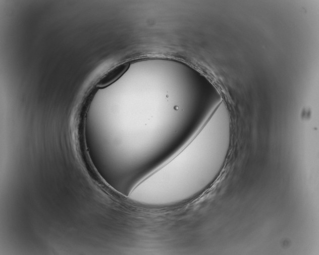 X0000102820197200808181033
