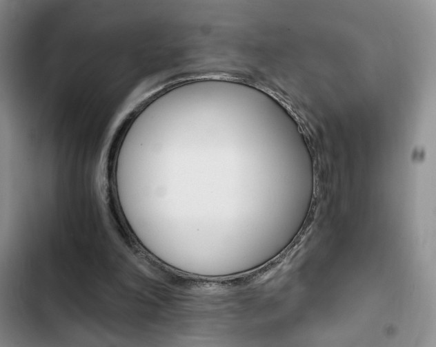 X0000102820198200808181033