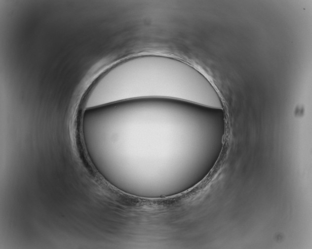 X0000102820199200808181033