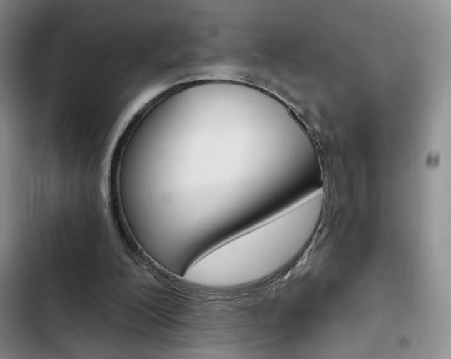 X0000102820200200808181033