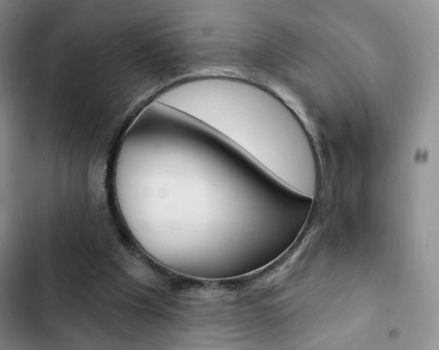 X0000102820201200808181033