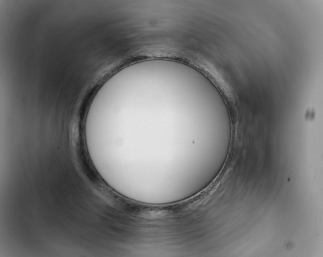 X0000102820202200808181033