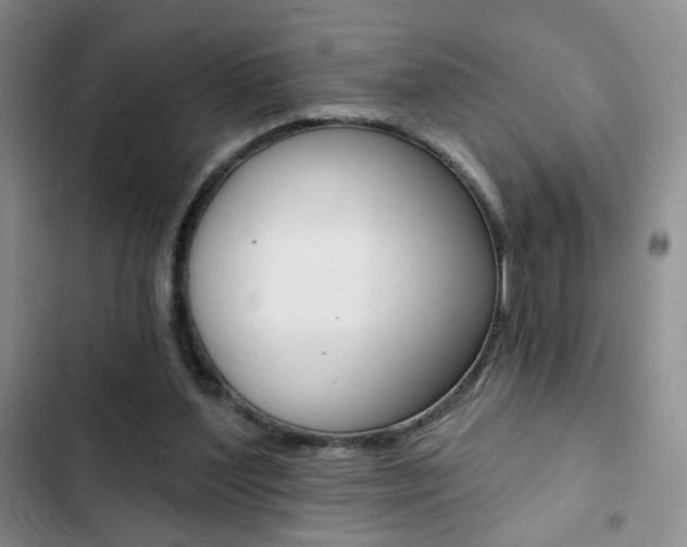 X0000102820204200808181033