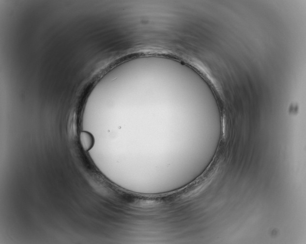 X0000102820205200808181033