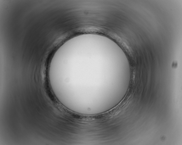 X0000102820206200808181033