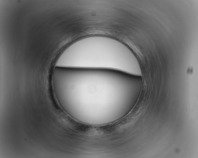 X0000102820207200808181033