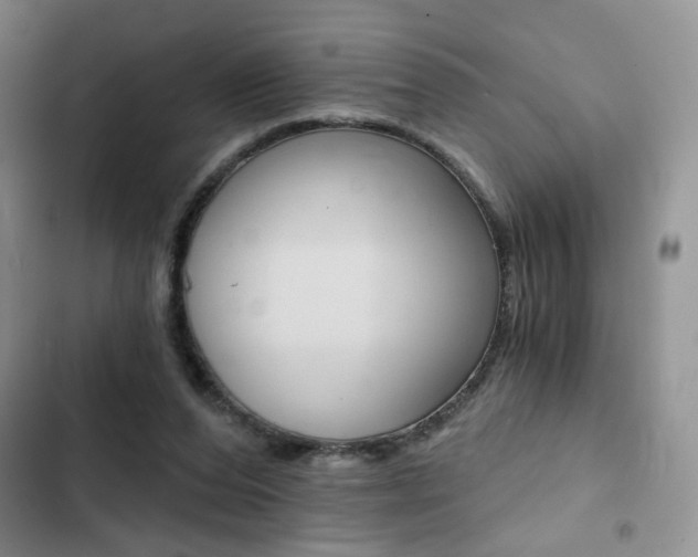 X0000102820208200808181033