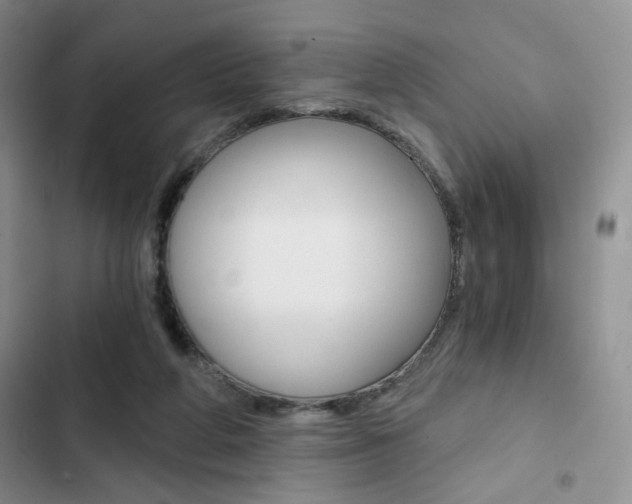 X0000102820210200808181033