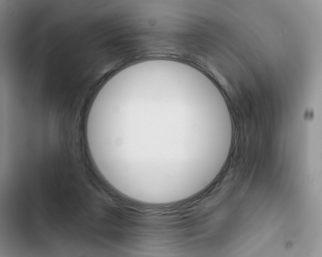 X0000102820211200808181033