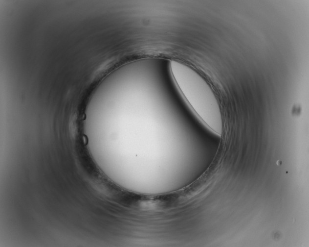 X0000102820216200808181033