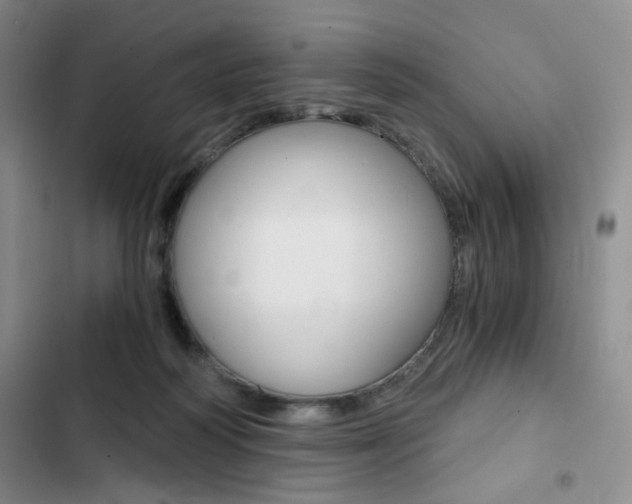 X0000102820218200808181033
