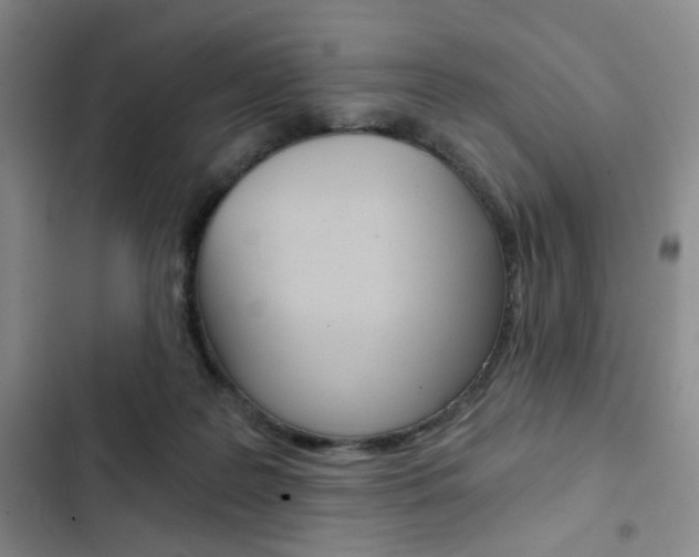X0000102820219200808181033