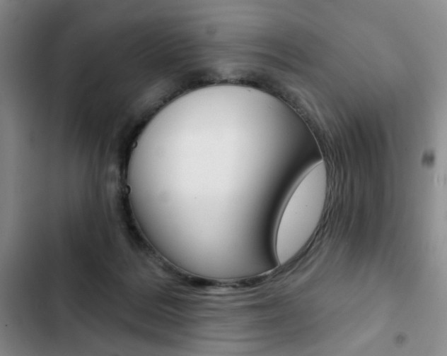 X0000102820220200808181033