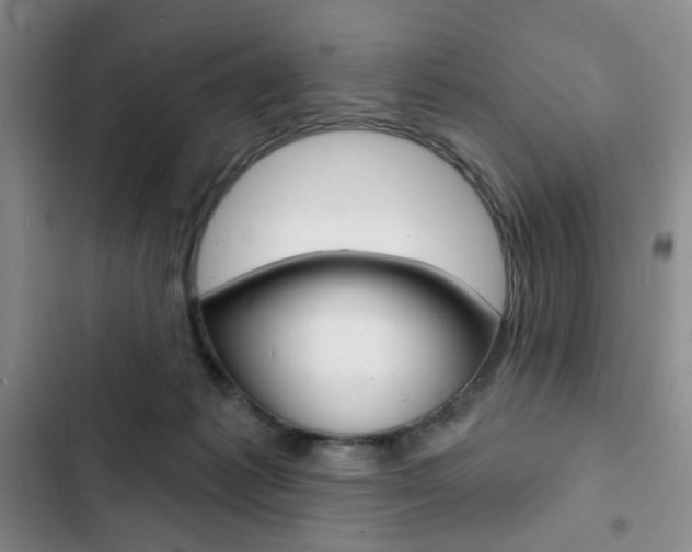 X0000102820221200808181033