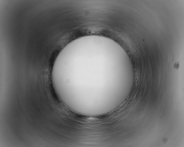 X0000102820222200808181033