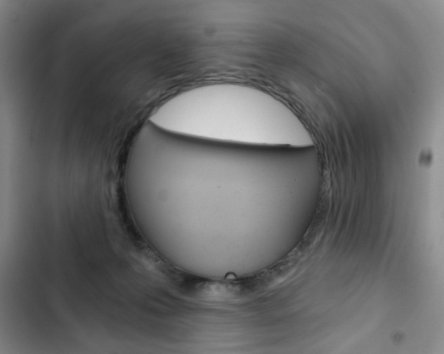 X0000102820223200808181033