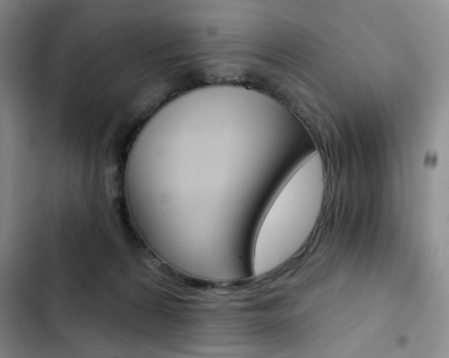 X0000102820224200808181033