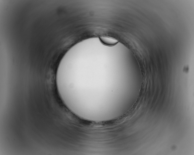 X0000102820228200808181033