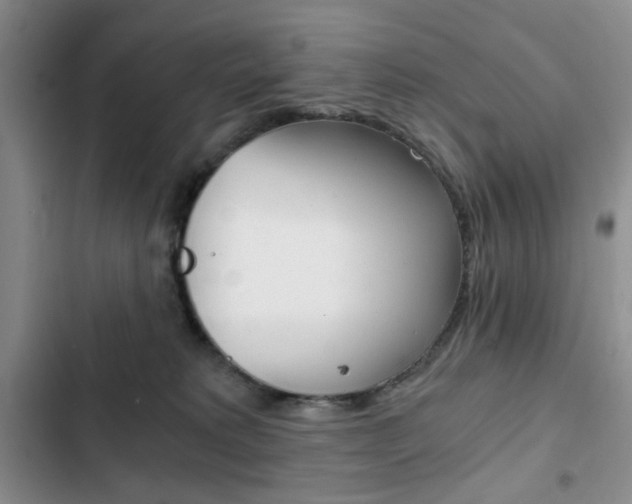 X0000102820229200808181033