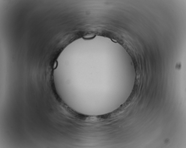 X0000102820231200808181033