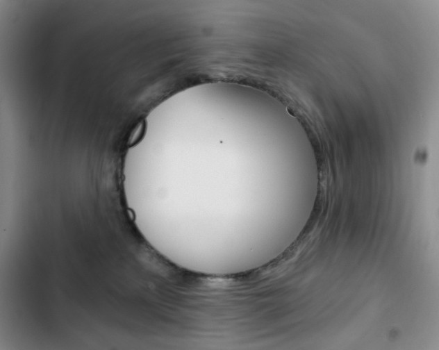 X0000102820233200808181032