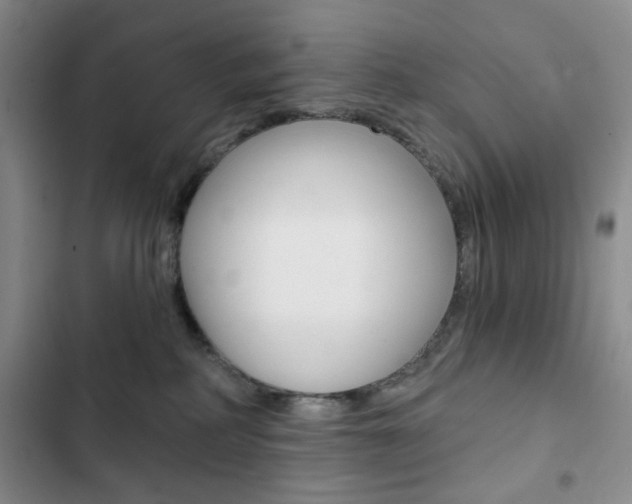 X0000102820234200808181032