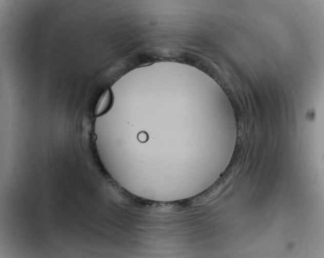 X0000102820235200808181032