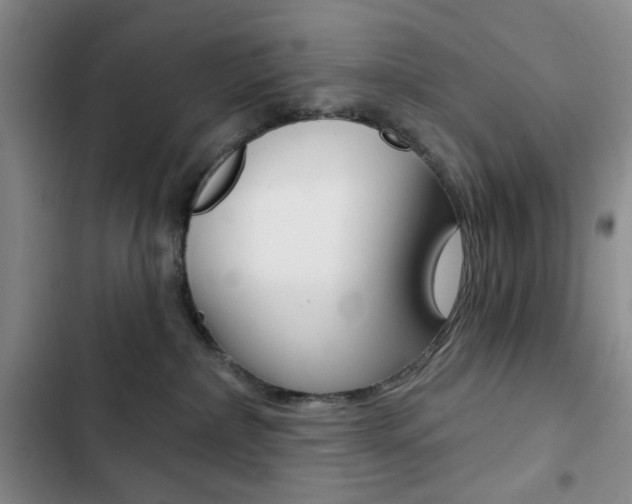 X0000102820236200808181032