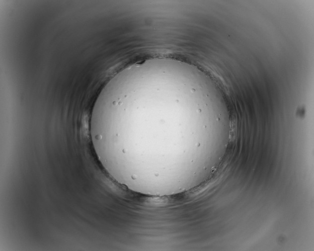 X0000102820238200808181032