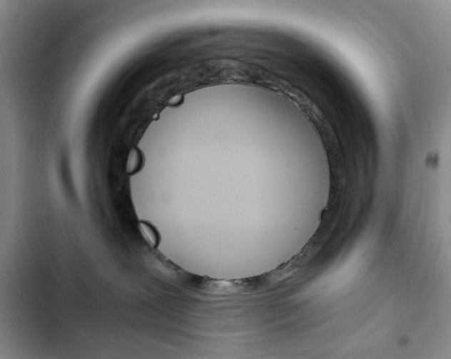 X0000102820239200808181032