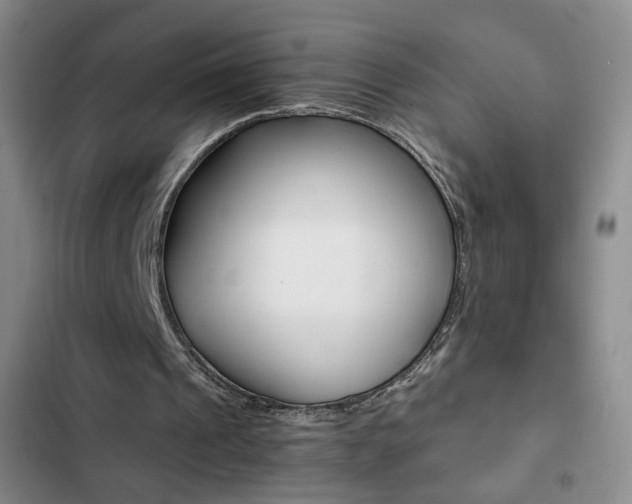 X0000102820241200808181032