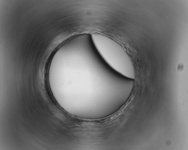 X0000102820242200808181032