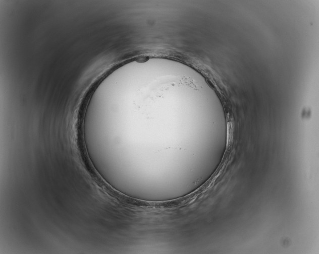 X0000102820243200808181032