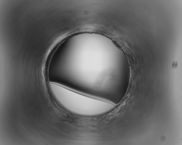 X0000102820244200808181032