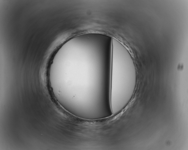 X0000102820245200808181032