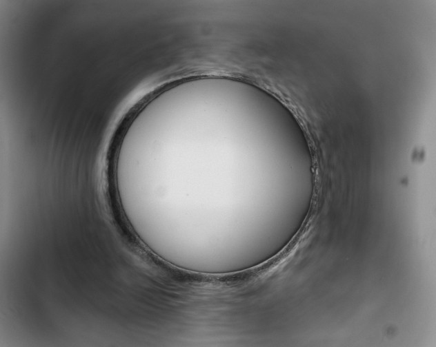 X0000102820246200808181032