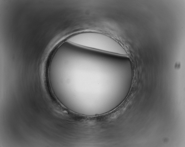 X0000102820247200808181032