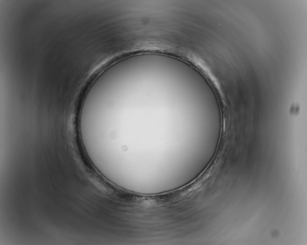 X0000102820249200808181032