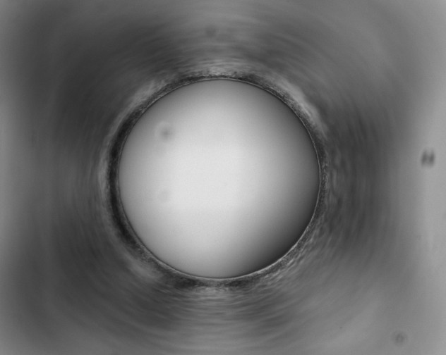 X0000102820250200808181032