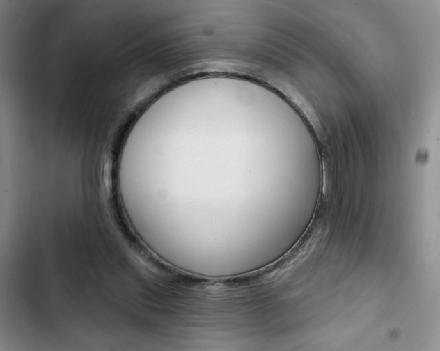 X0000102820253200808181032