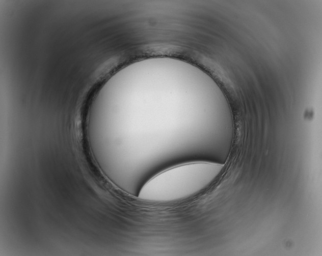 X0000102820254200808181032